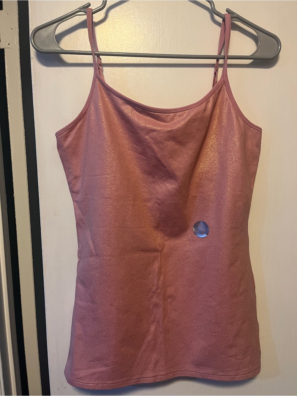 Express Pink Shimmer Bra Cami